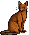Amberclaw.warrior.png