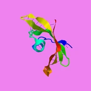 2W9P.pdb2