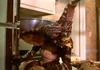 Gremlin
