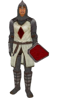 KnightsoftheNineArmor