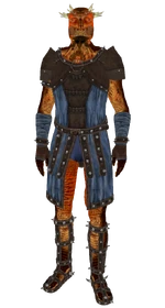 ArenaLightArmorBlue