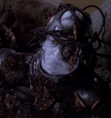 Crippled male Borg.jpg