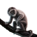 Item silvergibbon 01