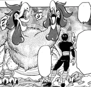 Coco facing Basilicroc