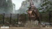 TNCarnotaurus