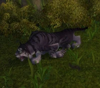 KrasariStalker