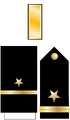 Cpl Insignia (STN).png