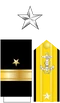 Capt Insignia (STN)