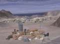 Junktown.jpg