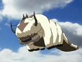 Appa flying.png