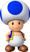 Blue Toad NSMBW2-BB