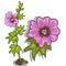 Pink Hollyhock-icon