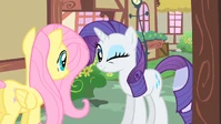 Rarity winking S1E25
