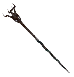 Staff OB