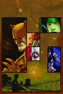 Ragdoll Secret Six
