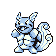 Wartortle V