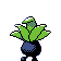 Oddish espalda G2