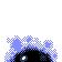 Gastly espalda G2 variocolor