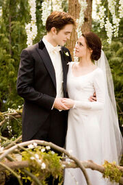 Breaking-dawn-wedding-dress-1