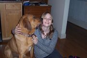 Madison - Dog