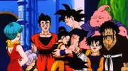 Chi-Chi abraza a Goku