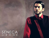Seneca-crane