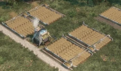 GrainFarm
