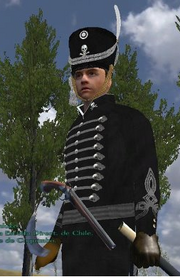 Husar negro
