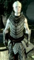 KnightPaladinGelebor.png
