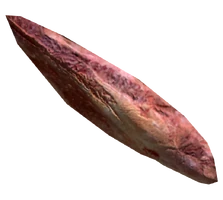 Human remains