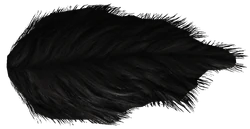 Werewolf Pelt
