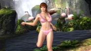 DOA5 Kasumi Swimsuit