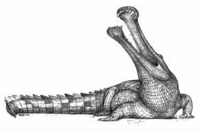 Ms Sarcosuchus