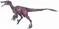 Velociraptor mongoliensis.gif