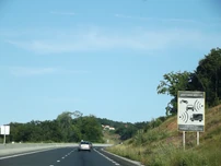 N89 (15)