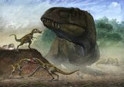 Zhuchengtyrannus