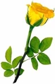 ATT31747.jpg