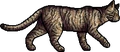 Leafstar.loner
