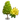 Champak Tree-icon