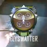Flyswatter Medal BOII
