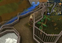Emote clue Blow Raspberry Ardougne Zoo