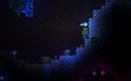 Mimic Fail