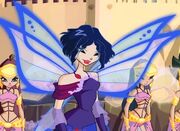 185px-Winx-4-24-01878709-18-29