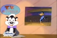 DaffyGetsFramed