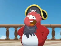 Yarr 011