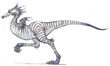 Raptor FFXI
