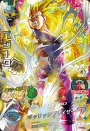SS3VegetaDBHCard