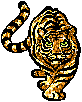 Glitttering Tiger