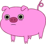 Pig trans