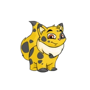 Spotted Wocky